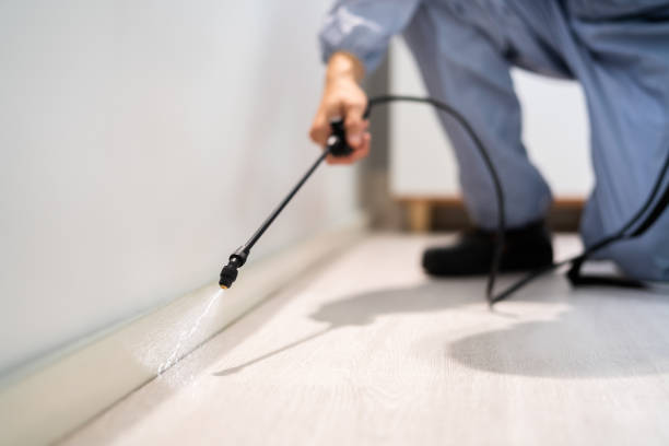 Licensed Termite Control service in Bushnell, FL - Nex Pest Control