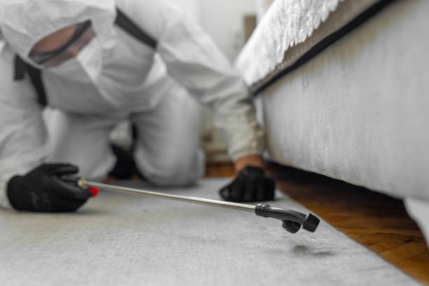 Professional Termite Control technician working in Bushnell, FL