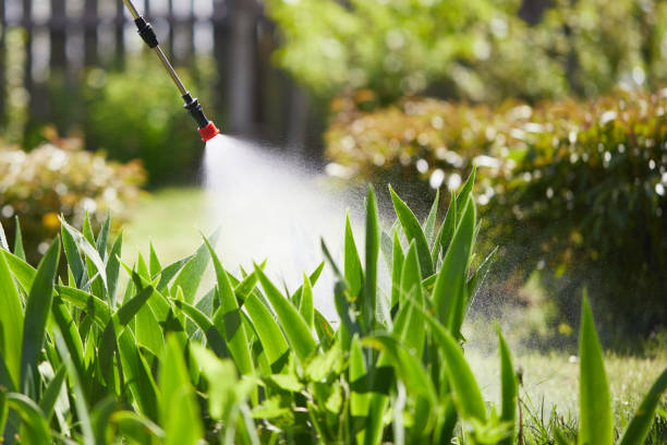 24/7 Emergency Termite Control experts in Bushnell, FL