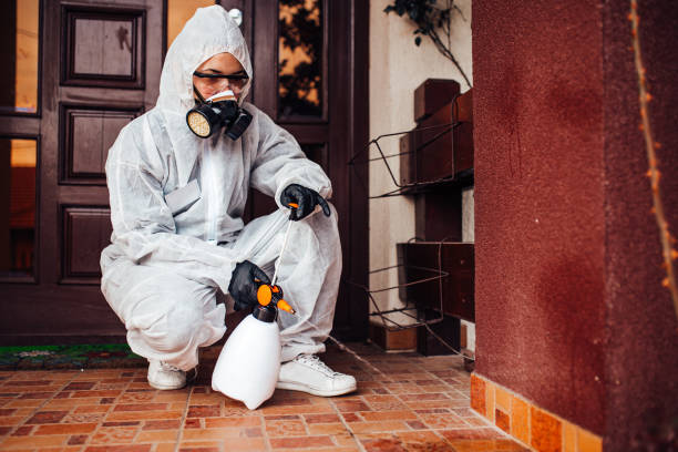 Reliable Termite Control contractor in Bushnell, FL by Nex Pest Control
