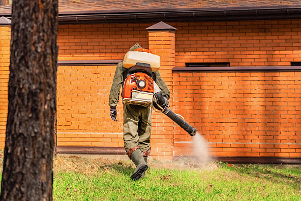 Top rated local Termite Control specialists in Bushnell, FL